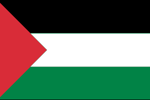 Palestine flag 8 x 5 ft