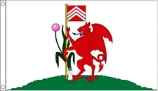 Welsh Cardiff Flag