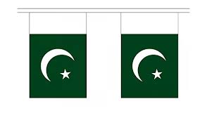 Pakistan Flag Bunting
