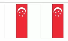 Singapore Flag Bunting