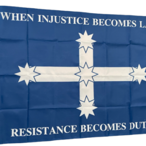 When Injustice Becomes Law Resistance Becomes Duty Flag
