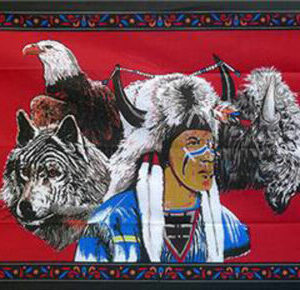 Native American Indian Flag