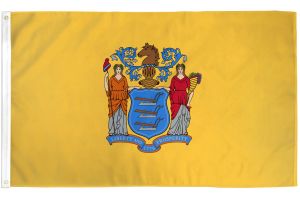 United States New Jersey Flag