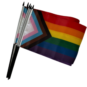 Progress Pride hand waver flags