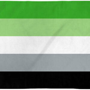 Pride Aromantic Flag
