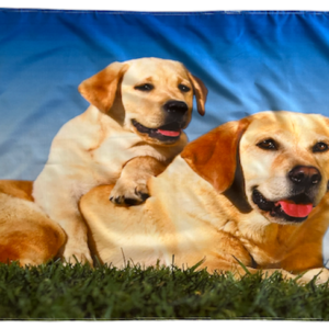 Labrador Dog Flag