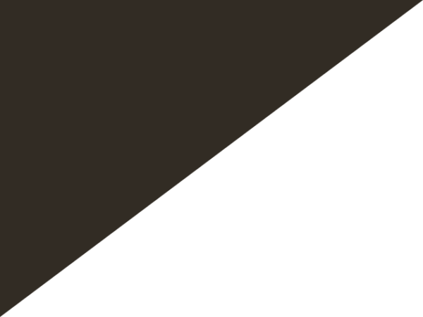 Black and White Diagonal Flag