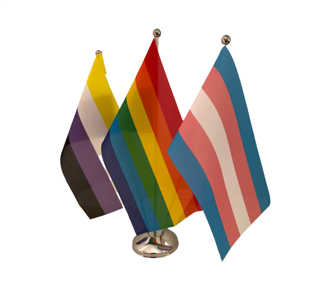 Rainbow Flag Non Binary Flag Transgender Flag LBQT 3 Set Desk Flags ...