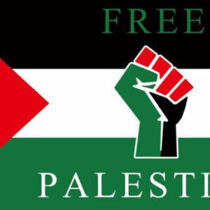 Free Palestine Flag