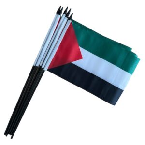 Palestine hand flags