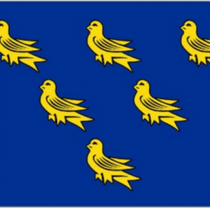 County Sussex Flag