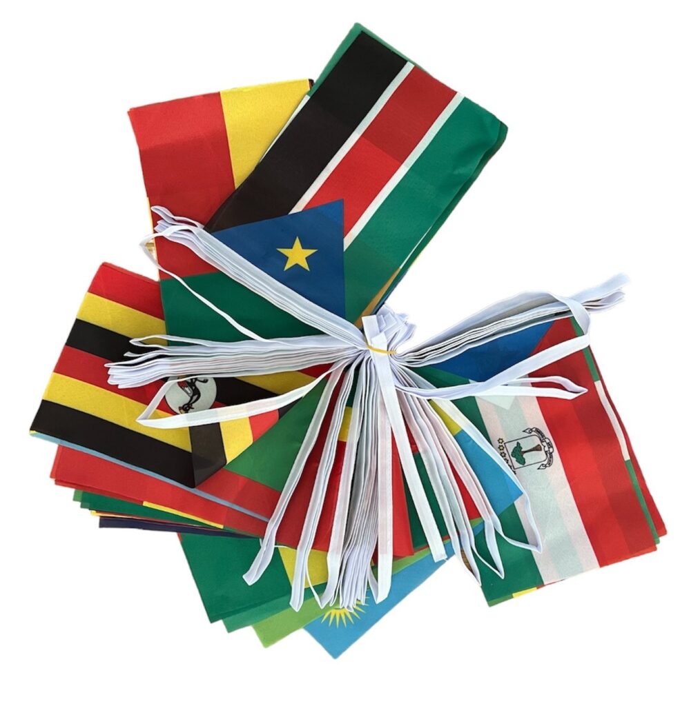 Africa Flag Bunting 54 African Countries Polyester Bunting Custom